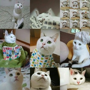 笠岡美容室Gratia(グラーティア)。