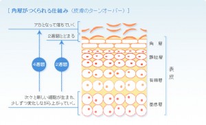 山下真面目ブログ1